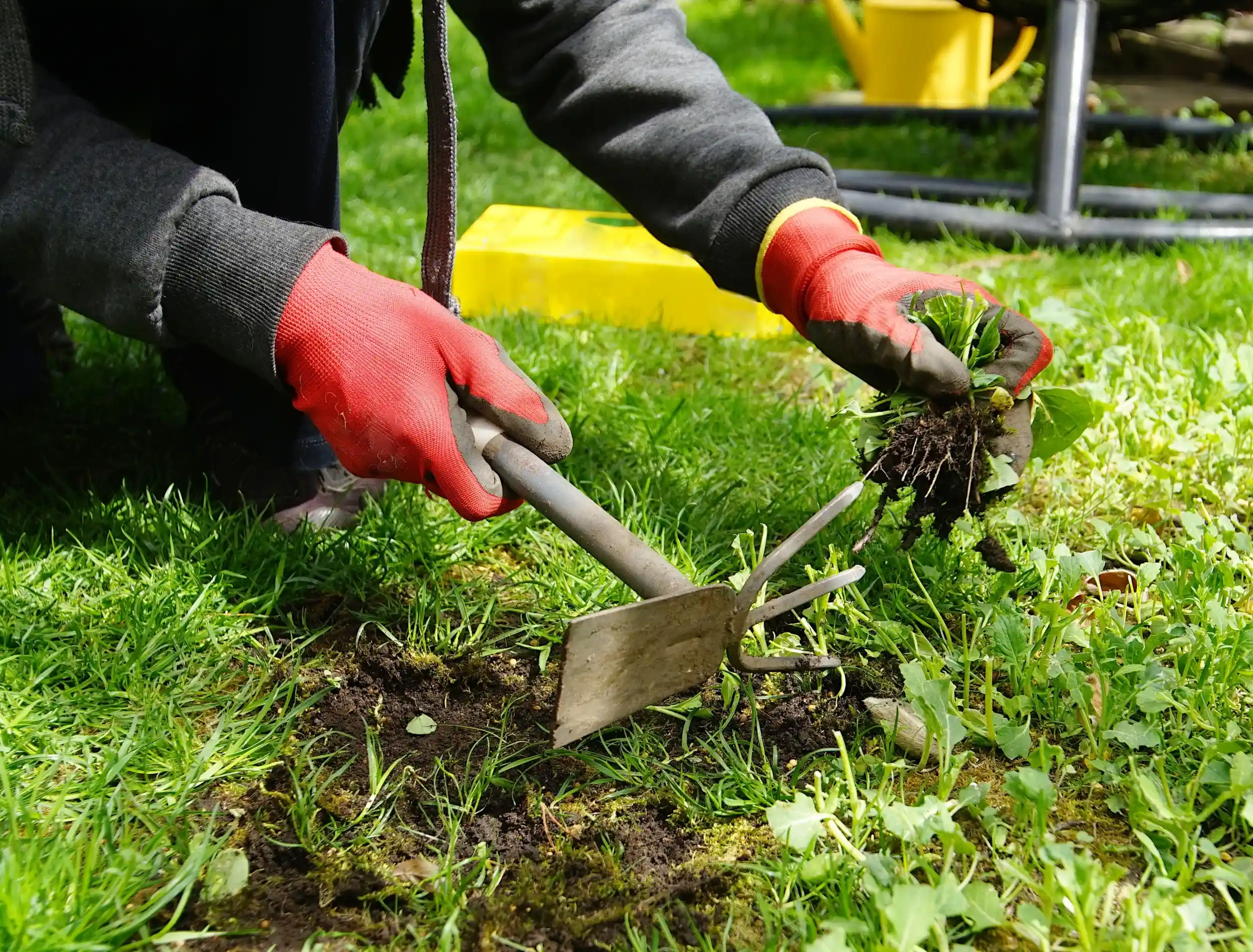 Garden Weeding